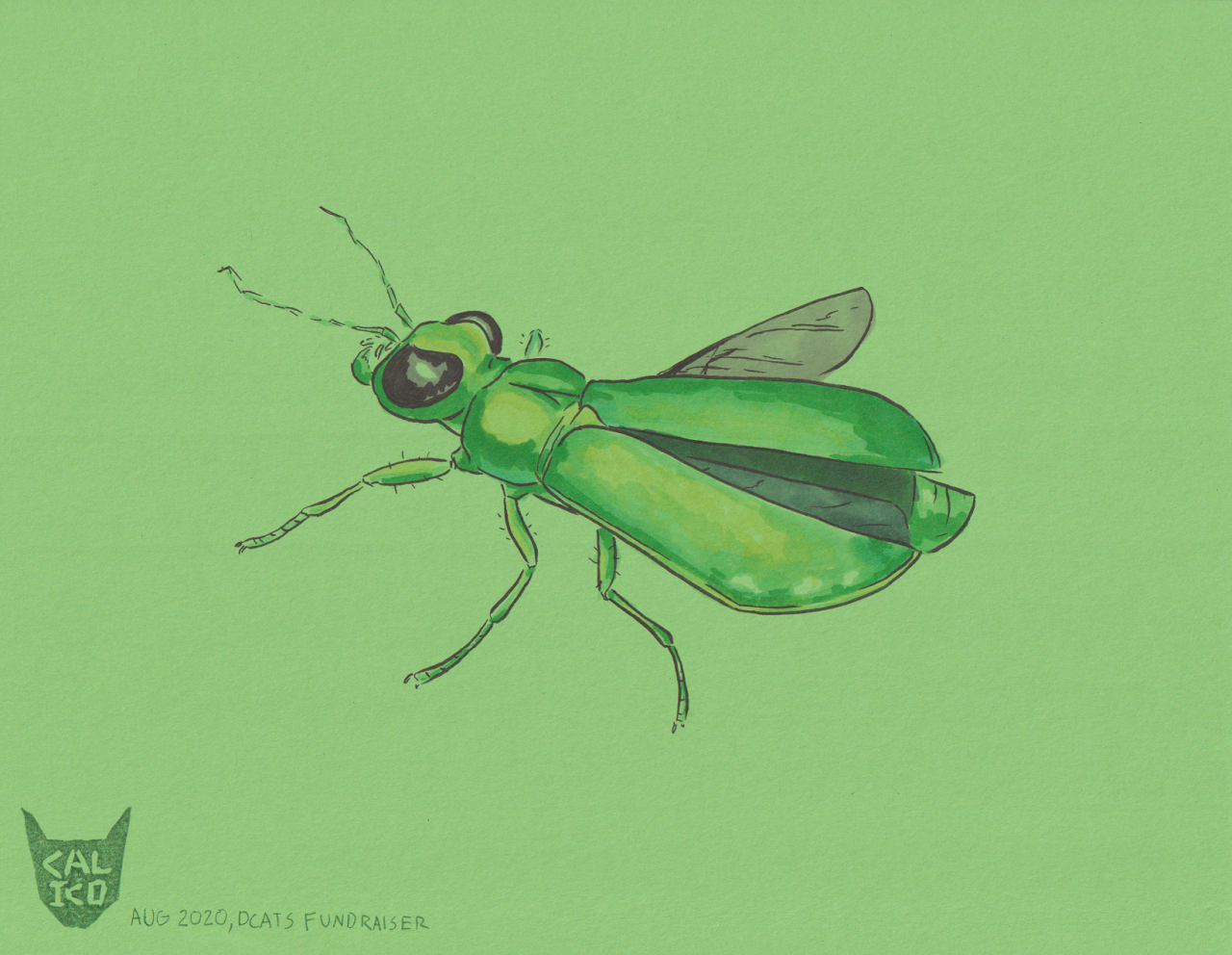 Pen and colored ink: a metallic green beetle with wings half-opening on a green background.