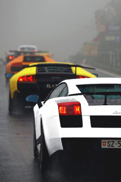 italian-luxury:  Lambos for Life | Italian-Luxury