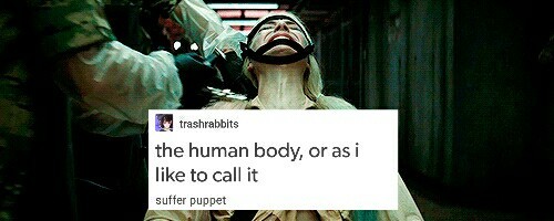 weirdfluffyunicornpig:  Harley Quinn   text posts part 2