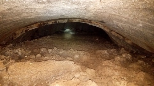 roosaurusrin:Lava River Cave near Flagstaff, Arizona. This lava tube was likely formed through a ven