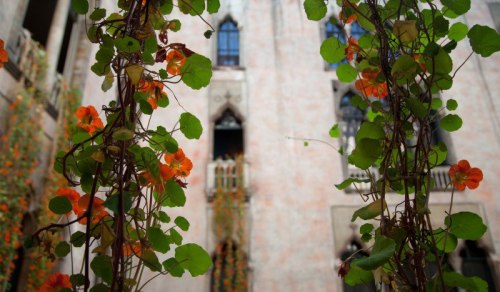 ghostlywatcher:Isabella Stewart Gardner Museum, Boston.