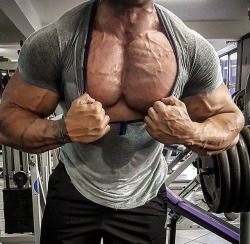 musclemusclemusclemuscle: musicianbear72: