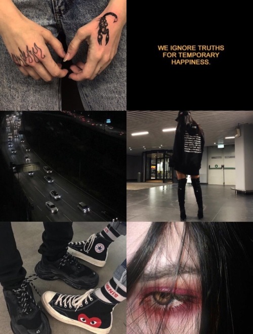 AESTHETICS FOR THE SIGNSLibra Scorpio SagittariusCapricornAquarius Pisces