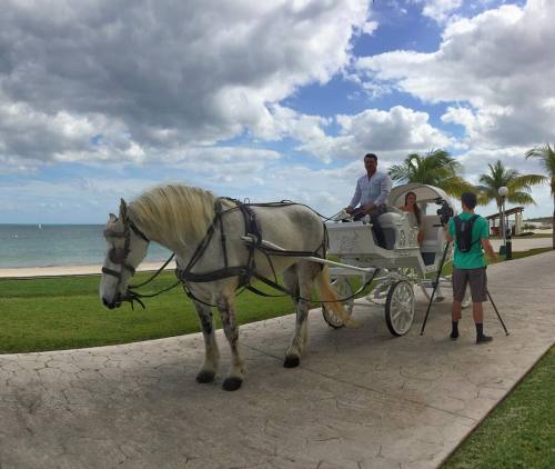 ‘Cancun Taxi’  (at Moon Palace Golf & Spa Resort) ***EXPLORE the CaribbeanFacebook