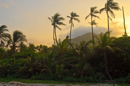 vivalatinamerica: Tayrona National Natural Park, Magdalena, Colombia | Cedric Converset