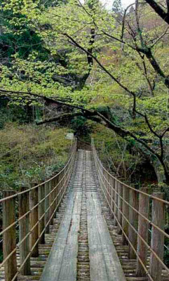 artfave:  Bridge That is realy old illusion:)