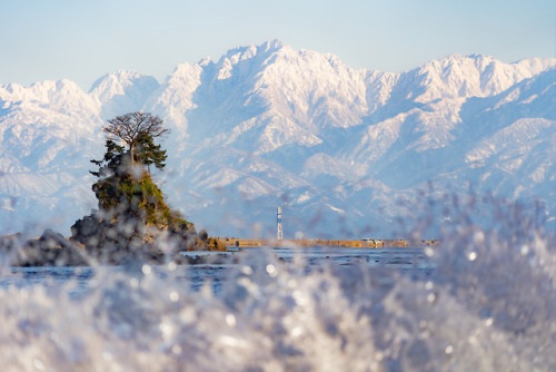 雨晴海岸