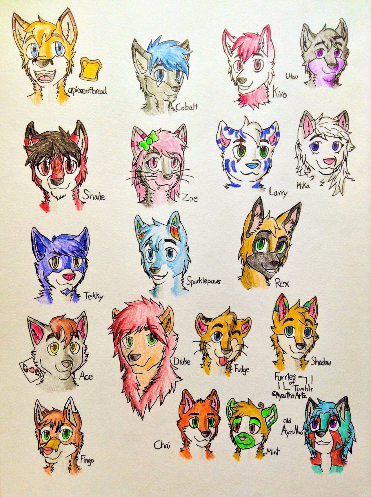 furrywolflover:  ayzutho-the-catfox:  Furries of Tumblr Collection  Aww I dont see