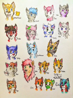 furrywolflover:  ayzutho-the-catfox:  Furries