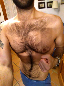 hairy-males:“Chest hair porn’‘ish enough