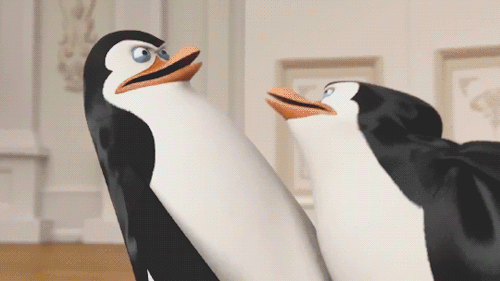 kayatash:onionrimgs:Do you think the penguins from Madagascar ever explored each other’s bodies?