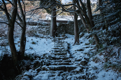 Snowy White and Red Leaves 雪の白と紅葉の赤。 せっかくの雪なので遅めの紅葉が残る山寺へと。 風情があって亀岡のなかでも好きな場所。 #京都 #亀岡#FUJIFILM #