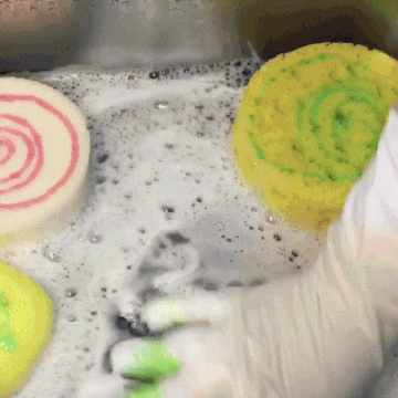 Soapy Sponges