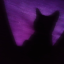 nightmarenoxx
