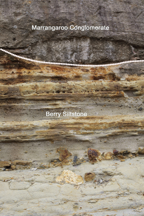 2021: Glacial dropstones in the Permian Berry Siltstone at the oft-visited Mudgee Rd overpass cuttin