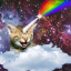 galaxycat42099