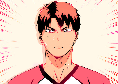 tameshrimp: SHIRATORIZAWA!