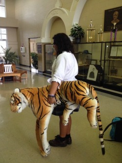 thefallopianfiddler:  this girl walked around my highschool ALL DAY with this tiger stuffed animal.  Are we just not gonna talk about the fact that the thing&rsquo;s eye is glowing and looking at the camera holder like its gonna steal their soul&hellip;?