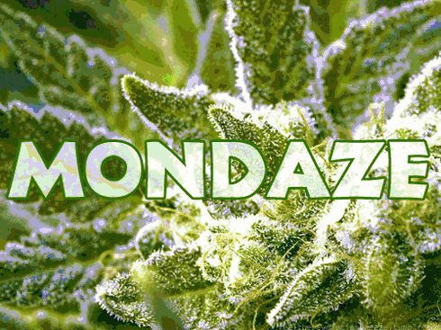 smokeweedhavesex:  4:20 24/7