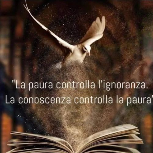 Il conflitto non è tra bene e male, ma tra il sapere e l'ignoranza.
Buddha
https://www.instagram.com/p/CpfQ7ZMMgUu/?igshid=NGJjMDIxMWI=