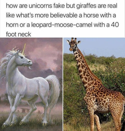 montypla:overlord-puffin:supreme-leader-stoat: boss-of-the-plains:  supreme-leader-stoat:   pixie-mask:  thespectacularspider-girl:  Fun fact, The Questing Beast of Arthurian Legend is the result of people attempting to describe what a giraffe was, then