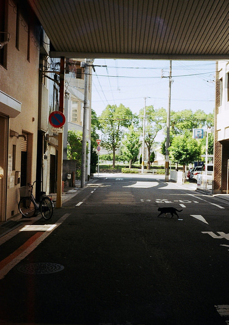 the good old streets of Wakayama by miho’s dad on Flickr.