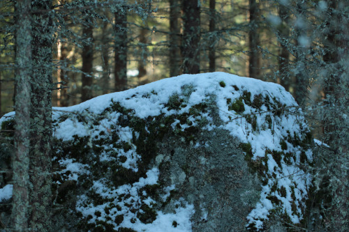 These glacial erratics (boulders transported by ice sheets back in the last ice age)  are typical fo