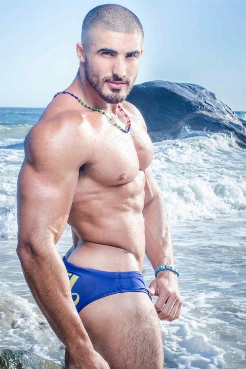    Paulo Wilker   
