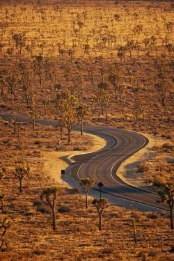 misterlemonzafterlife:  coffeeinthemountains: (via Mojave, California)  Sheryl Crow and Paul McCartney passed this way.https://MisterLemonzAfterlife.tumblr.com/archive