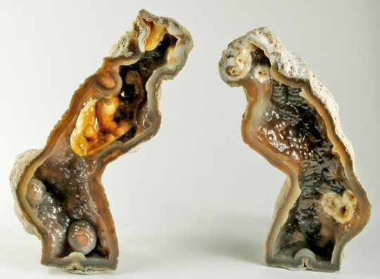 An amazing natural sculpture Shaped like a graceful pair of bending women glimpsed through a window, this coral from Florida has...