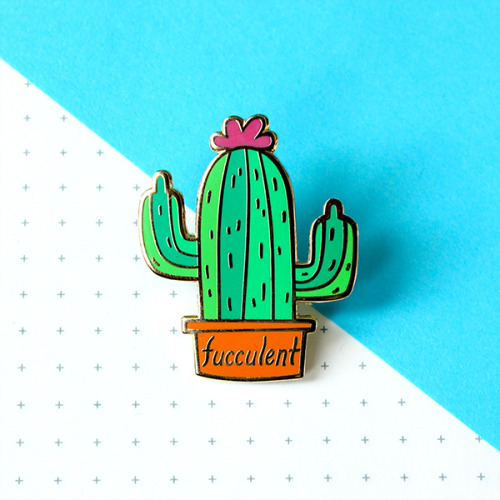 papricots: Fucculent (Echinocereus imperitus). A rude cactus to usher in the new year. I designed a 