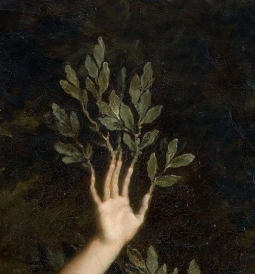 helloiamrr - ꕥ RR ꕥ