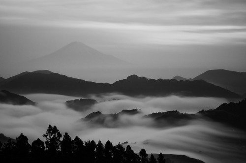 fuckyeahjapanandkorea:  吉原雲海 by **sione** 