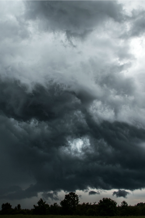 odbytea:  expressions-of-nature:  Terrifying Beauty : Michał Zmonarski  xx