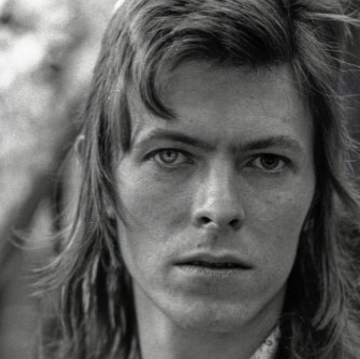 elven princess Bowie