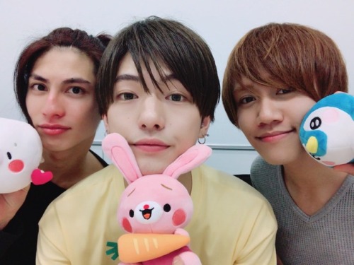 kondoyohdikei:🐰