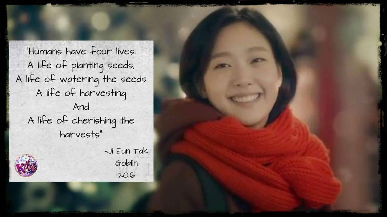Korean Drama Quotes