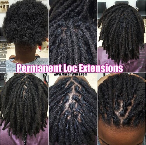 phattyb00mb00m:  munroesdream:  black-exchange:  Macon Styles  www.maconstyles.com // IG: maconstyles  ✨ No thread, glue, donor locs, or wrap-look ✨  ุ - 贶  CLICK HERE for more black-owned businesses!  Interesting….  Very^