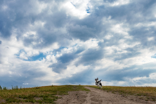 Lucy in the sky