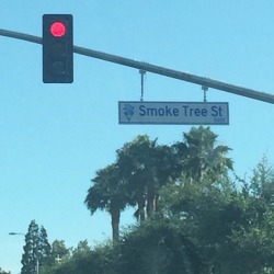 beetweentwolungs:  I seen this awesome street sign yesterday 🍁