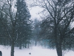 ceeejstudies:  1.4.15 // Impatiently waiting for the mailman to get here with my new bullet journal. I’m absolutely loving all this snow we’re getting! After living in Florida for four years, it’s nice for a change :) 