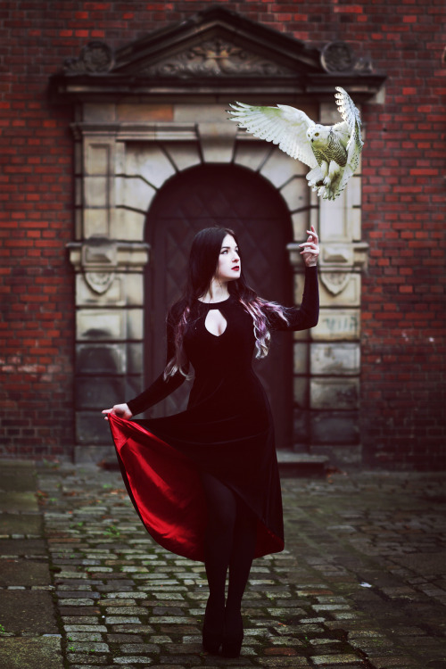 gothicandamazing:    Model / styling / makeup / hair / edit: Silver WolfieDress: JawbreakerPhotographer: Wiktoria Mikoda photographyWelcome to Gothic and Amazing | www.gothicandamazing.org  