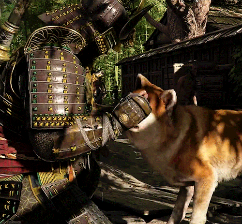 You Are A Friendly Beast, Are You Not?