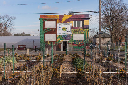 solarpunks: America’s first sustainable urban agrihood is growing in Detroit An alternative ne