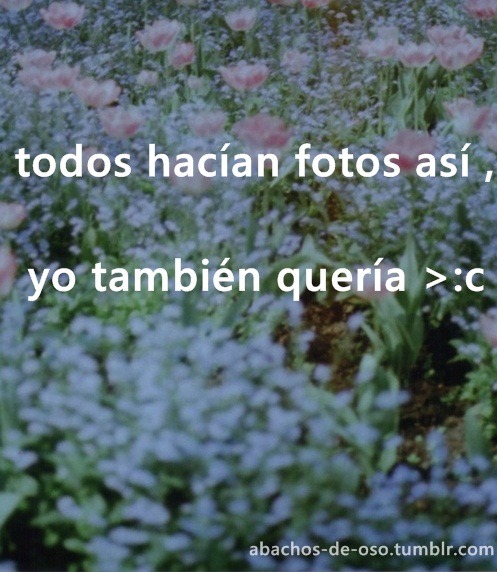 abachos-de-oso:   .l.  >:c 