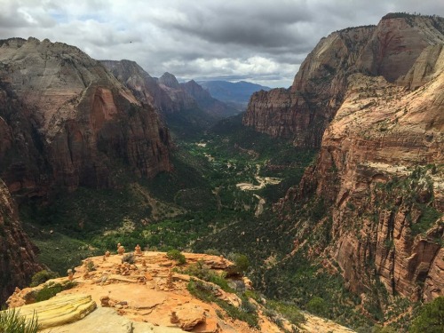 “Atop Angel’s Landing” Zion National Park, UT. May 2015