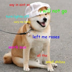 apatheticdream3r:            wow                                 such pop punk                                                              no1 like u when your 3.3             carry me home 