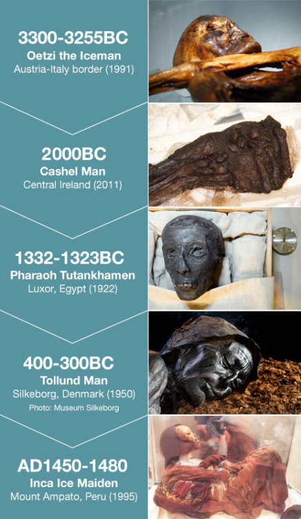 theolduvaigorge: World’s oldest bog body hints at violent past by Matt McGrath “Cashel Man has had t