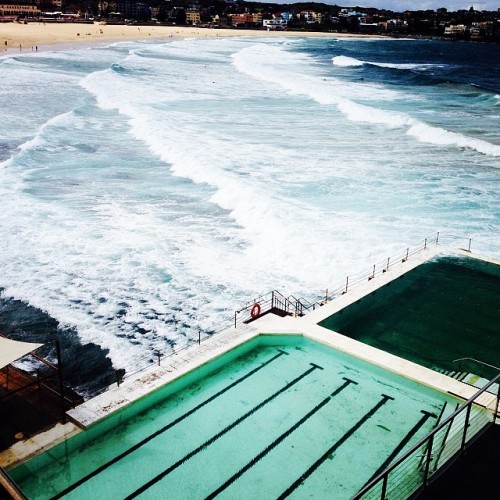 natashamusicofficial:  @mbfashionweek for @elleryland show #Bondi #Icebergs #ellery #mbfwa (at Bondi