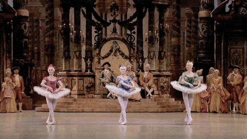 chlosevignys:FAVOURITE PERFORMANCES ► Sleeping Beauty, Paris Opéra Ballet 